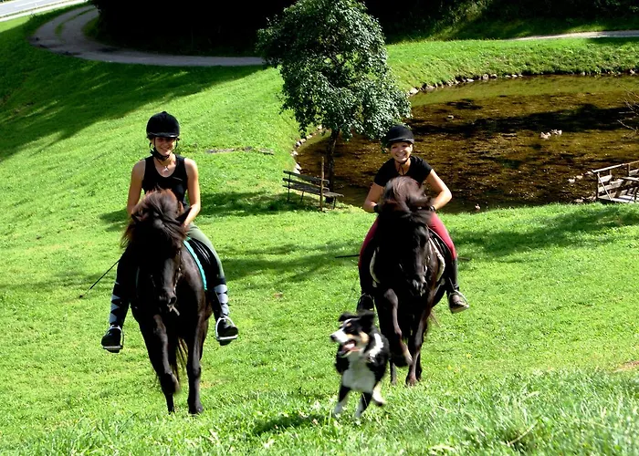 Ξενοδοχείο με διαμερίσματα Ursprung